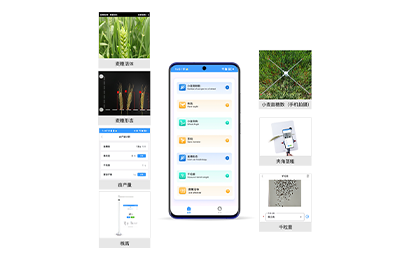 巴南区小麦表型检测仪IN-XM04